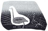 Largeness in Life: A Whistling Swan with its Young