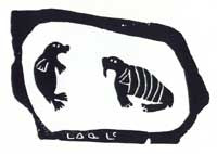 Two Walrus