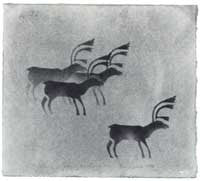 Caribou
