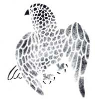 Kikavik (falcon) Flying