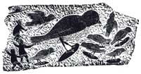 Three Boys Chasing Some Birds in the Spring