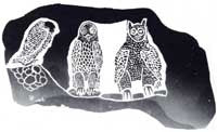 Owls at Night