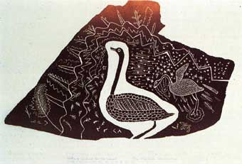 Whistling Swans with their Young on the Ground