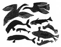 Animals Usually Arrive During the Summer