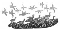 Seagulls and Geese
