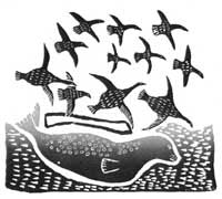 Arctic Terns Hunting Seals in the Summer