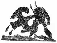 Loons Going After Fish