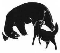 A Dog Attacking a Bear