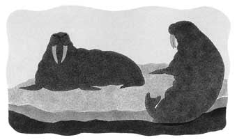 Two Walruses Meet on Moving Ice Floe