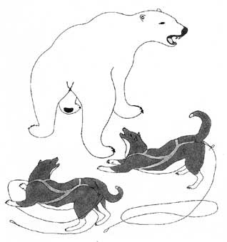 Dogs Keep Polar Bear at Bay