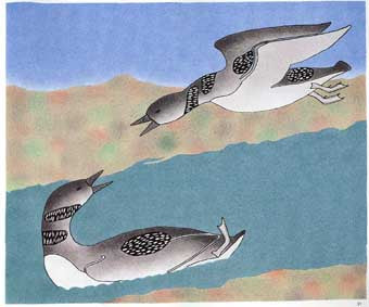Loons Searching in the River for Fish