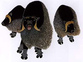 Protecting the Herd