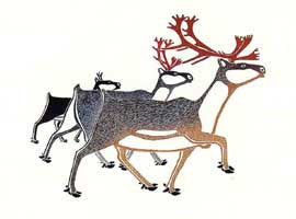 Caribou Family