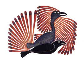 Intruding Raven