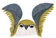 Curious Owl