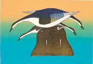 Walrus Perch