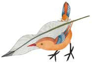 Feathering the Nest