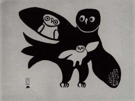 Female Owl
