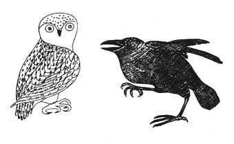 Owl and Raven