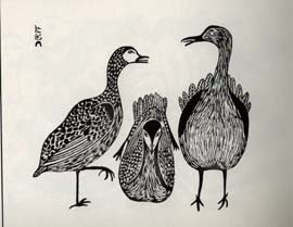 Three Shorebirds