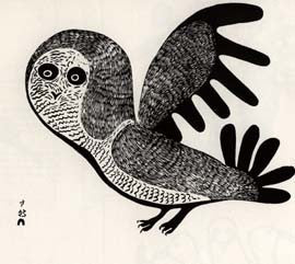 Lucy's Owl