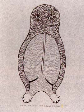 Kakivak Owl