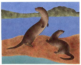 Two Otters Listening for Fish